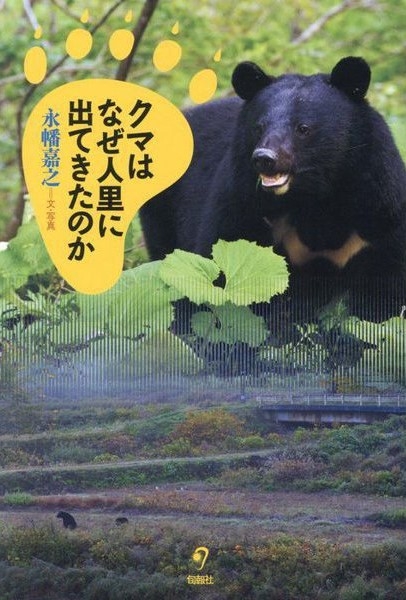 サンプルテキスト